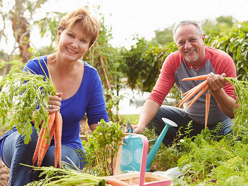 Sustainable Eating